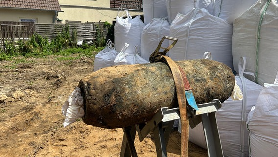 Eine entschärfte Bombe steht auf einem Stativ auf einem Grundstück im Kieler Stadtteil Dietrichsdorf. © NDR Foto: Christiane von Possel