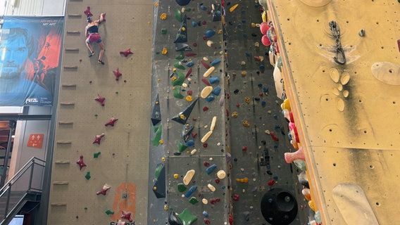 Eine Frau hängt an einer Kletterwand. © NDR Foto: Lena Haamann