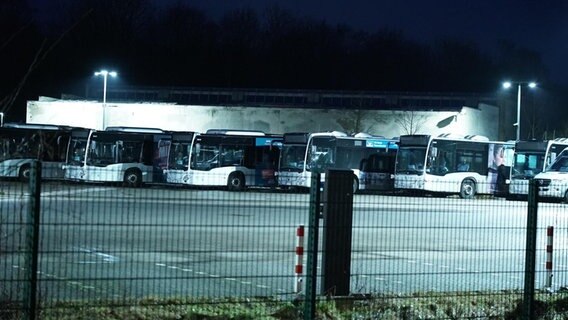 Busse stehen auf dem Parkplatz des ZOB-Neumünster © NDR Foto: Daniel Friederichs