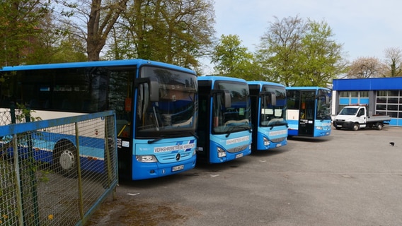 Busse der Verkehrsbetriebe Plön stehen auf dem Firmengelände. © Daniel Friederichs Foto: Daniel Friederichs