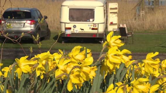 Ein Wohnwagen und ein Pkw stehen hinter einigen Blumen © NDR Foto: NDR Screenshot