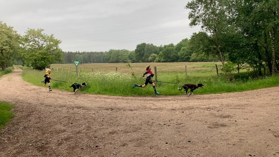 Zwei Kinder im Sprint. Um die Hüfte tragen beide die Leine ihres jeweilligen Hundes der ihnen vorrann läuft. © NDR Foto: Lena Haamann