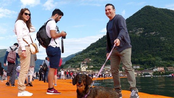 Drei Besucher laufen über "The Floating Piers", einer davon führt einen Dackel an der Leine. © NDR Foto: Julian Marxen und Hauke von Hallern