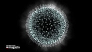 Eine Grafik des Corona Virus. © NDR 