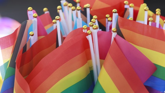 Regenbogenfahnen stehen auf einem Tisch zum Christopher Street Day. © picture alliance/dpa Foto: Matthias Bein
