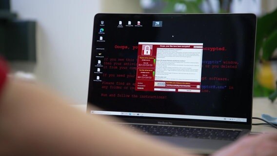 Person sieht Meldung einer Lösegeldforderung auf PC © NDR 
