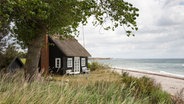 Ein kleines blaues Holzhaus mit zwei weißen Bänken am Strand in Dänemark. © picture alliance / DUMONT Bildarchiv Foto: Gerald Haenel