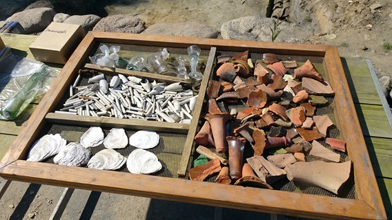 Schalen von Austern, Tonpfeifen, Scherben von Gefäßen aus Ton und Glas liegen bei archäologischen Ausgrabungen in Danewerk auf einem speziellen Tablett. © NDR Foto: Peer-Axel Kroeske