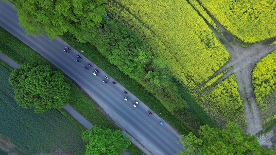 Fahrradfahrerinnen und -fahrer fahren neben einem Rapsfeld. © NDR 