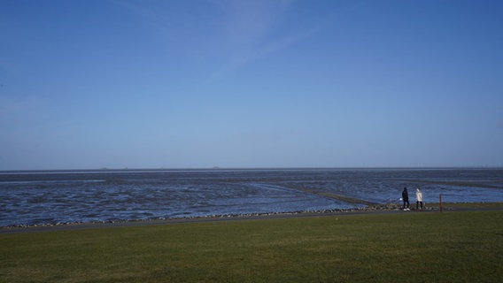 Zwei Leute gehen unter einem blauen Himmel auf einem Deich an der Nordseeküste spazieren. © picture alliance/dpa | Marcus Brandt Foto: Marcus Brandt