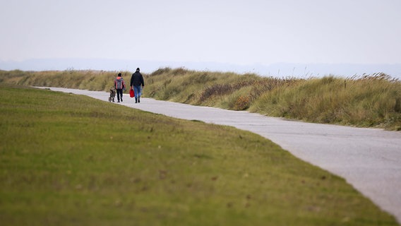 Spaziergänger mit Hunden sind auf einem Weg am Deich am Schönberger Strand unterwegs. © picture alliance/dpa Foto: Christian Charisius
