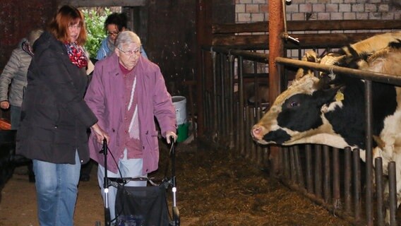 Eine alte Frau geht mit einem Rollator durch einen Kuhstall.  Foto: Claudio Campagna