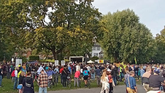 Menschen demonstrieren bei einer FFF-Demo in Kiel. © NDR Foto: Kevin Bieler