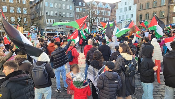 Zahlreiche Menschen demonstrieren mit palästinensischen Flaggen in der Flensburger Innenstadt. © NDR 