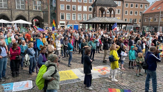 Eine Demo von "Fridays for Future" in Lübeck. © NDR Foto: Bastian Pöhls