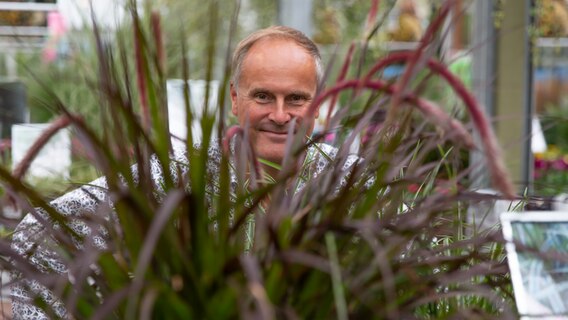 Thomas Balster schaut durch eine Pflanze. © NDR Foto: Christoph Klipp