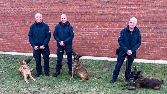 Drei Hundeführer stehen mit drei Schäferhunden vor einer Ziegelmauer. © NDR Foto: Friedericke Hoppe