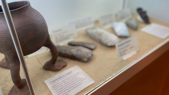 Plastiken, die berühmte Werke im Stil von Donald Duck nachempfinden, stehen in einer Vitrine des Museum und Stiftung Landdrostei in Pinneberg im Rahmen der Wanderausstellung Duckomenta. © NDR Foto: Jonas Hanst