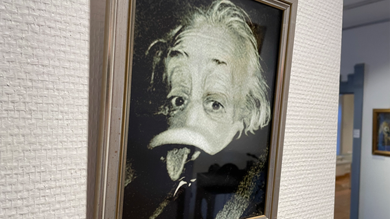 Ein berühmtes Foto von Einstein, nachempfunden im Stil von Donald Duck hängt an einer Wand im Rahmen der Wanderausstellung Duckomenta in Museum und Stiftung Landdrostei in Pinneberg. © NDR Foto: Jonas Hanst