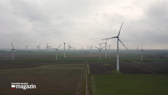 Windkrafträder in Dithmarschen © NDR 