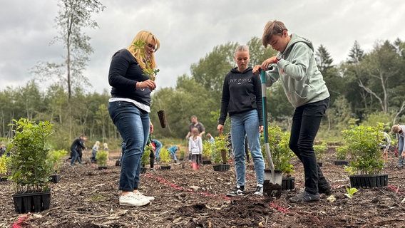 Eine Frau und zwei Jugendliche heben ein Erdloch aus. Eine Frau und zwei Jugendliche heben ein Erdloch aus. © NDR Foto: Samir Chawki
