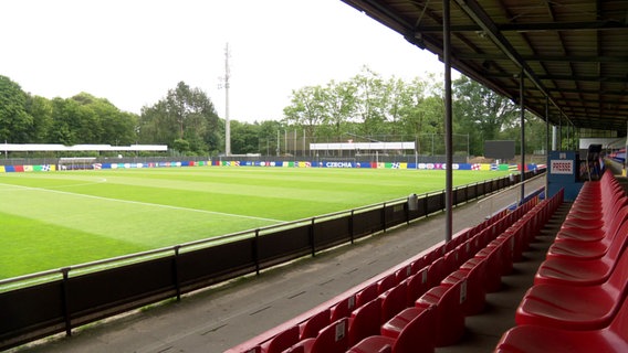 Eine Hand entfernt Unkraut im Rasen des Plambeck Stadions in Norderstedt. Eine Hand entfernt Unkraut im Rasen des Plambeck Stadions in Norderstedt. © NDR