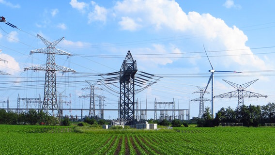 Eine Windkraftanlage zwischen Stromleitungen auf einer großen Wiese © NDR Foto: Peer-Axel Kroeske