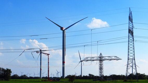 Windkraftanlagen zwischen Stromleitungen auf einer großen Wiese © NDR Foto: Peer-Axel Kroeske