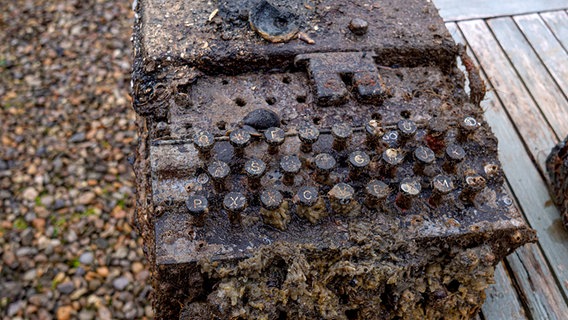 Eine der gefundenen Enigma-Chiffriermaschinen aus Schleimünde © Christian Hüttner Foto: Christian Hüttner
