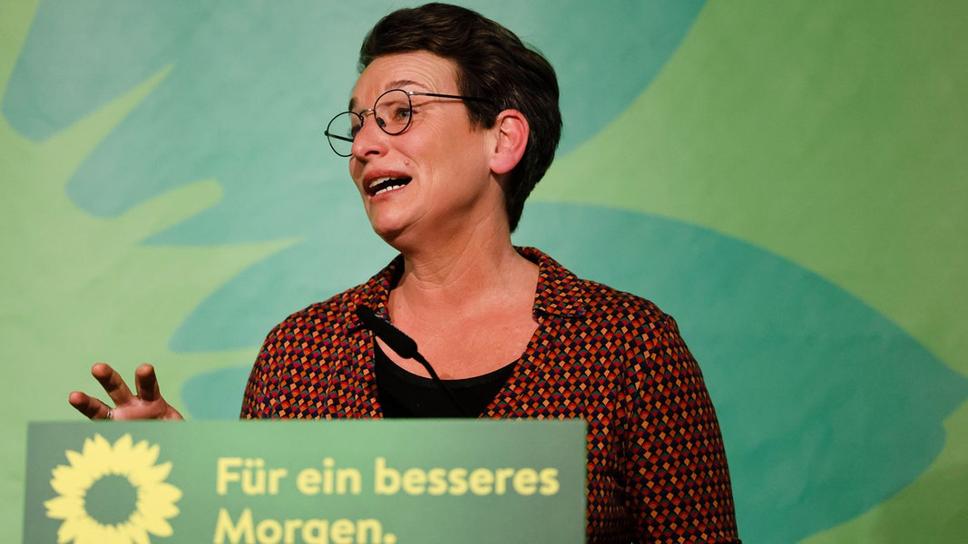 Neumünster: Anke Erdmann, Landesvorsitzende von Bündnis 90/Die Grünen, spricht beim Landesparteitag der Grünen Schleswig-Holstein.