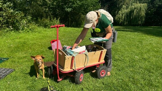 Eine Frau ist mit ihrem Hund und einem Bollerwagen unterwegs. © Karen Münster Foto: Karen Münster