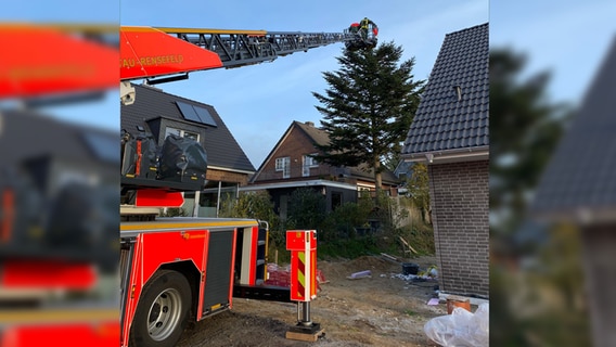 Feuerwehrleute arbeiten mithilfe eines Leiterwagens an einer Baumkrone. © Feuerwehr Bad Schwartau Foto: Feuerwehr Bad Schwartau