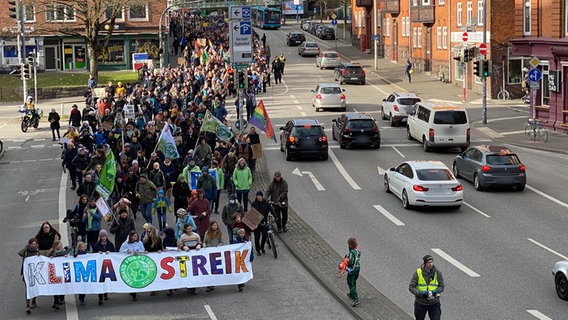 "Fridays for Future" protestieren in Kiel. © NDR Foto: Moritz Mayer