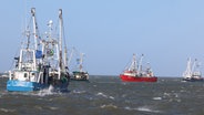 Fischerboote fahren auf der Nordsee. © picture alliance/dpa | Frank Molter Foto: Frank Molter