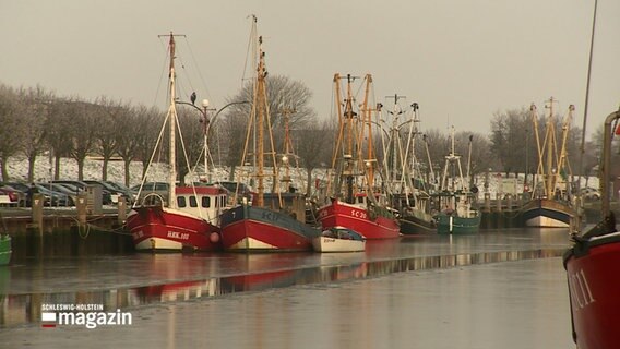 Fischerei Boote haben angelegt. © NDR 