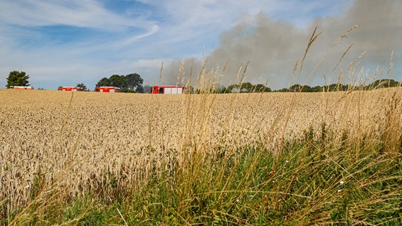 Ein Weizenfeld brennt bei Wandelwitz (Kreis Ostholstein). © Arne Jappe Foto: Arne Jappe