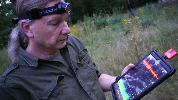 Ein Mann untersucht mit einem Geräuschmesser das Verhalten von Fledermäusen. © NDR Foto: Elin Halvorsen