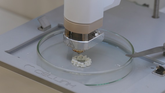 Nahaufnahme eines Bio-3D-Druckers der ein kleines Implantant gedruckt hat. © Kai Peuckert Foto: Kai Peuckert