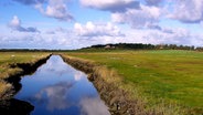 Die Godel - der größte "Fluss" auf Föhr.  Foto: Hans Pohlmann