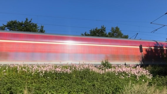 Zug auf Bahnstrecke an Naturschutzgebiet © NDR Foto: Nais Marie Baier