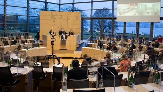 Gesundheitsminister Heiner Garg (FDP) steht am Rednerpult des Plenarsaals im Kieler Landeshaus. © dpa 