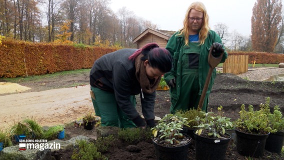 Zwei Frauen pflanzen etwas ein. © NDR 