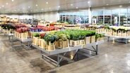 Topfpflanzen sind in einem Gartencenter ausgestellt. © picture alliance / Shotshop | Photology2000 