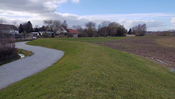 In Gelting schützt ein begrünter Erdwall die Siedlung von den Feldern. © NDR Foto: Peer-Axel Kroeske