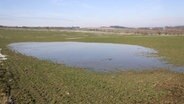 Auf einem Feld hat sich eine große Wasserfläche gebildet. © imago images Foto: CHROMORANGE