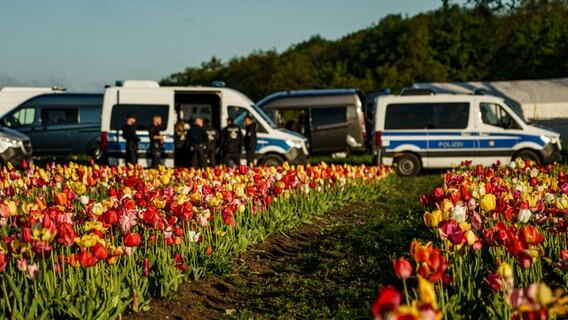 Einsatzkräfte der Polizei und des THW sind an einer Zufahrt zum Ressort Weissenhaus am Weissenhäuser Strand positioniert. Das Gipfeltreffen der Außenminister der G7-Gruppe der führenden demokratischen Wirtschaftsmächte findet in dem Ort an der Ostsee statt. © dpa-Bildfunk Foto: Axel Heimken