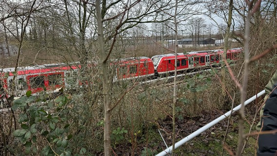 Ein roter Zug steht auf einem Gleis. © NDR Foto: Pia Klaus