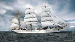 Das Schulschiff der Marine, die "Gorch Fock", läuft unter Segeln über die Kieler Förde zu. © dpa-Bildfunk Foto: Carsten Rehder