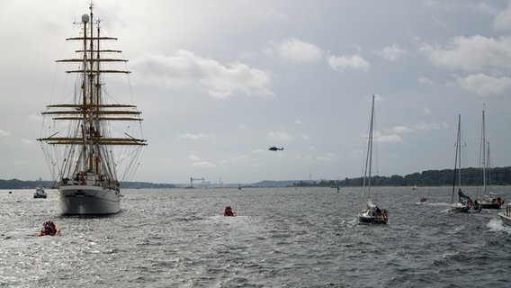 Die "Gorch Fock" wird von zahlreichen Segelschiffen auf der Kieler Förde begleitet.  Foto: Christian Wolf