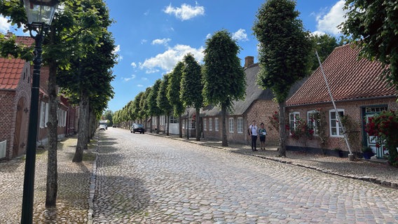 Eine Straße mit Bäumen in einem dänischen Ort. © NDR Foto: Kai Küken